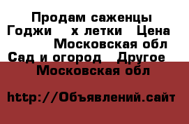 Продам саженцы Годжи 3- х летки › Цена ­ 1 000 - Московская обл. Сад и огород » Другое   . Московская обл.